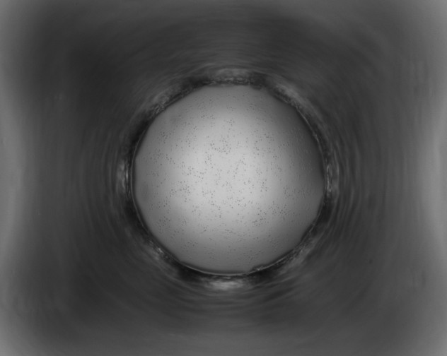 X0000083600669200703021914