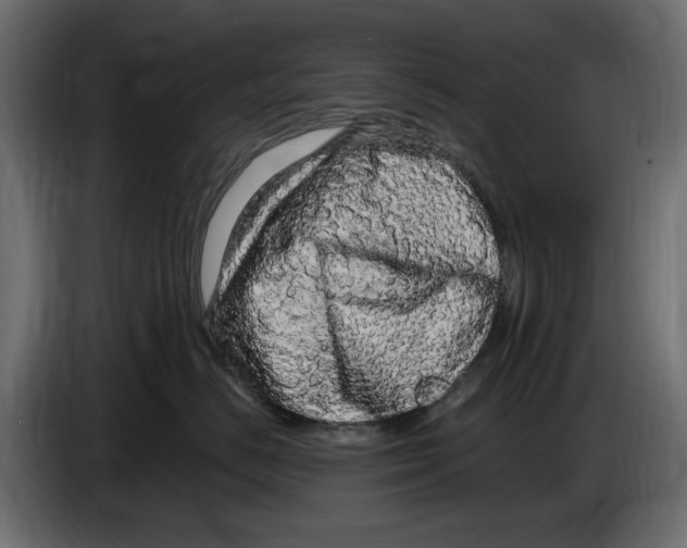 X0000083600670200703021914