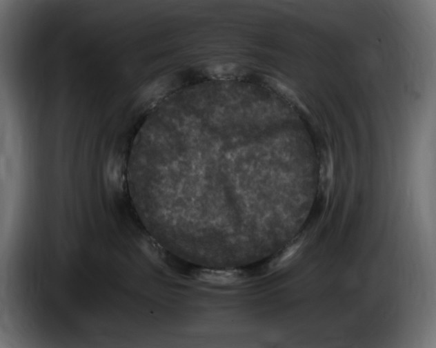 X0000083600671200703021914