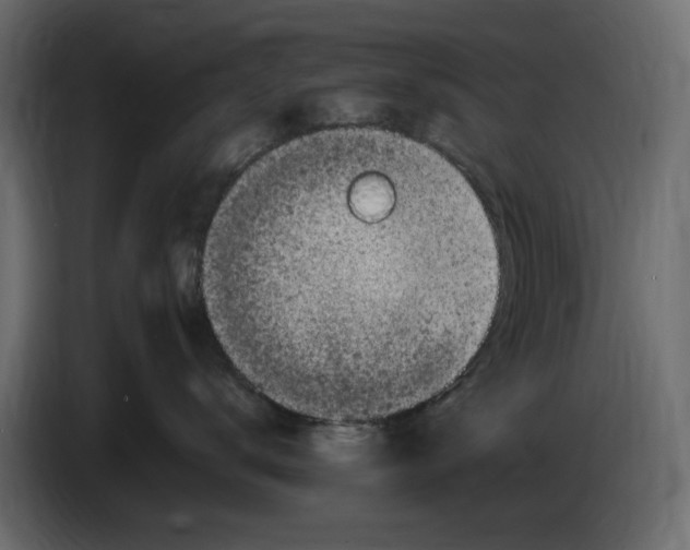 X0000083600672200703021914