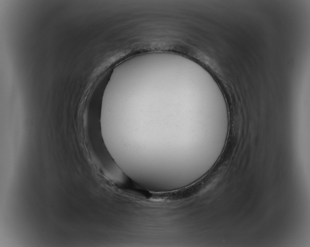 X0000083600673200703021914