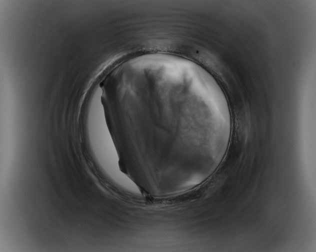 X0000083600674200703021914