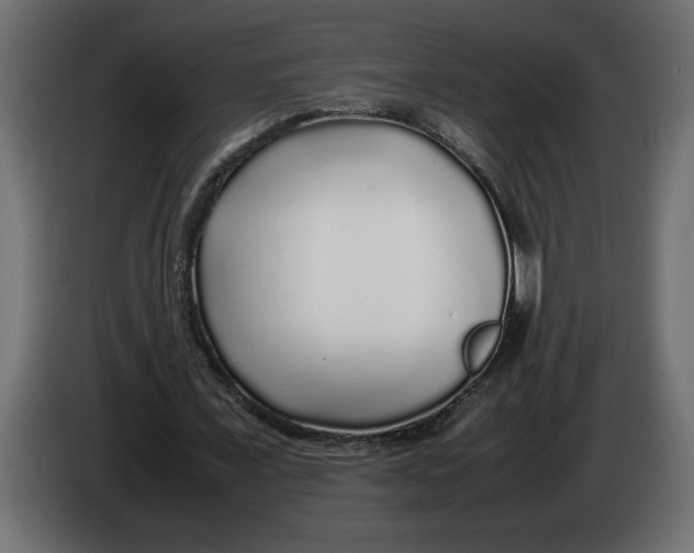 X0000083600675200703021914