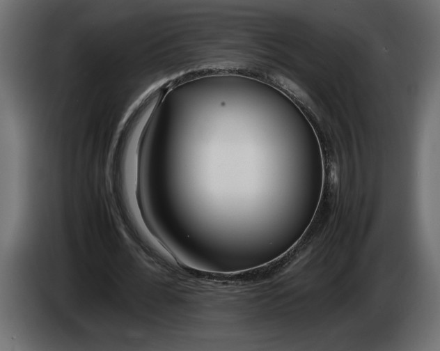 X0000083600676200703021914