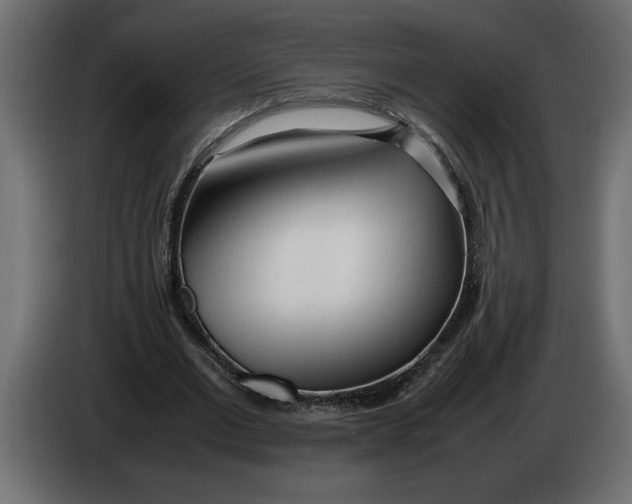 X0000083600677200703021914