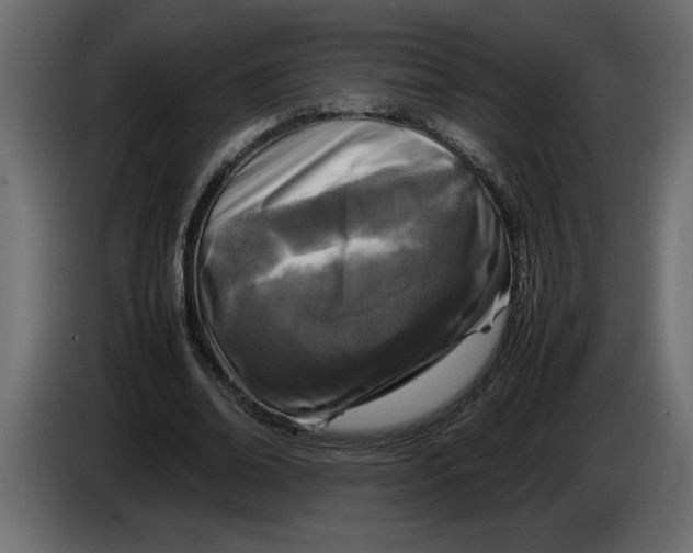 X0000083600678200703021913