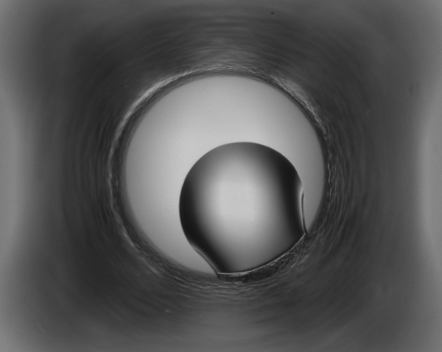 X0000083600680200703021913