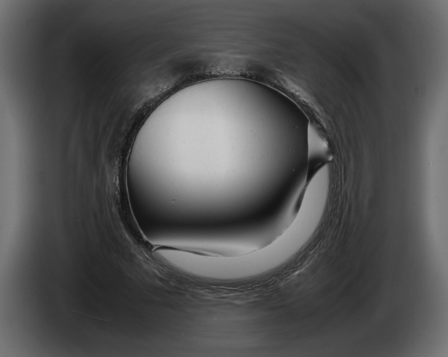 X0000083600681200703021913