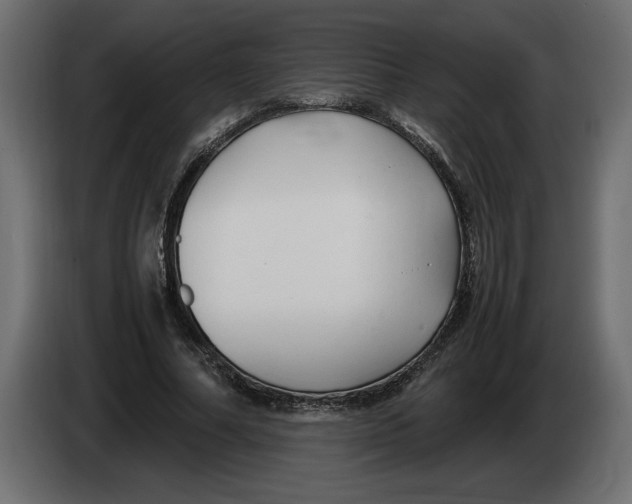 X0000083600682200703021913