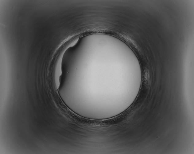 X0000083600684200703021913