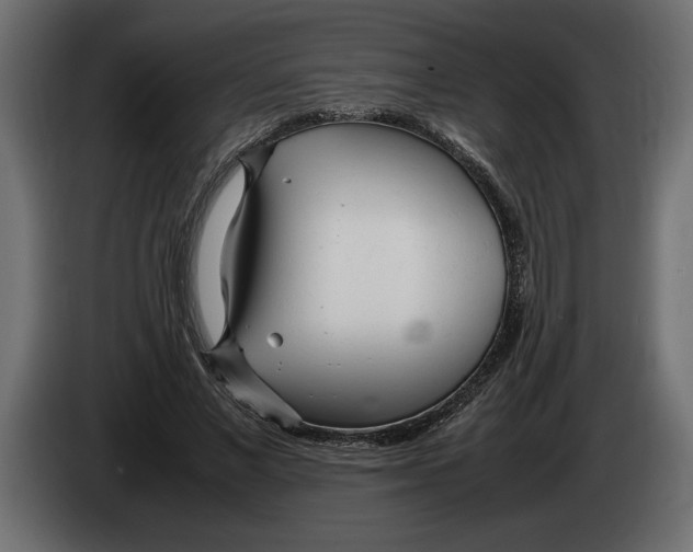 X0000083600685200703021913