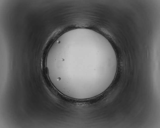 X0000083600686200703021913