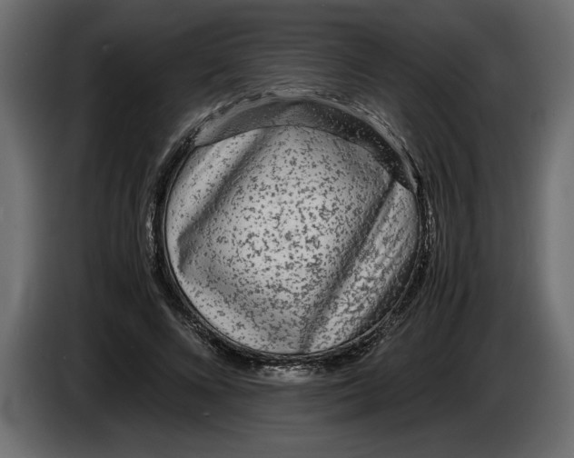 X0000083600688200703021913