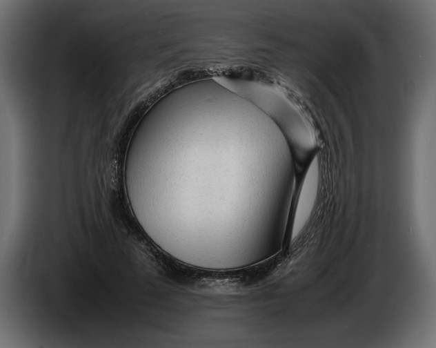 X0000083600689200703021913