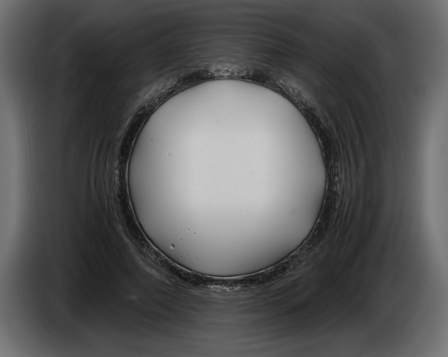 X0000083600690200703021913