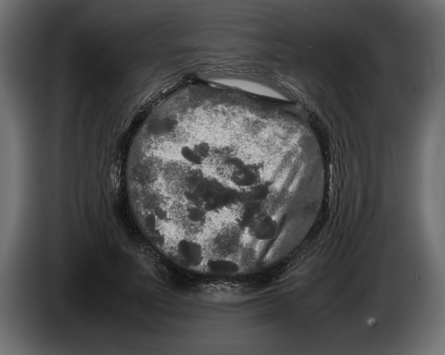 X0000083600691200703021913