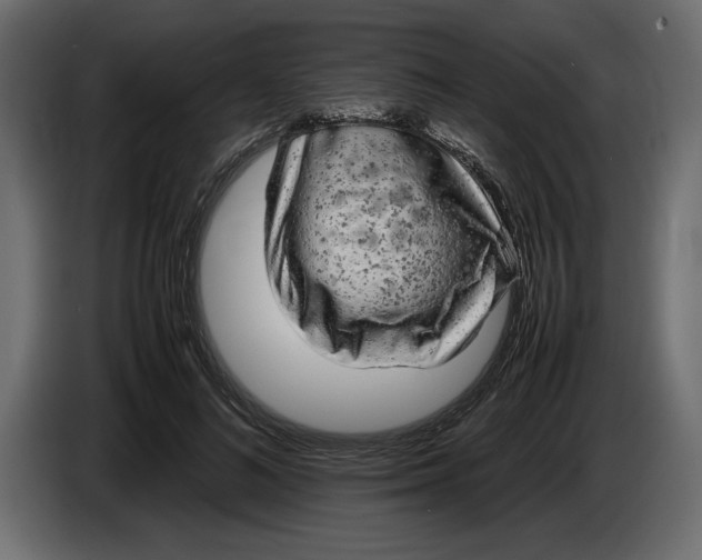 X0000083600692200703021913