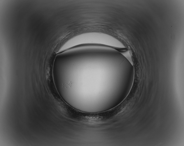 X0000083600693200703021913