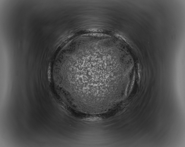 X0000083600696200703021913