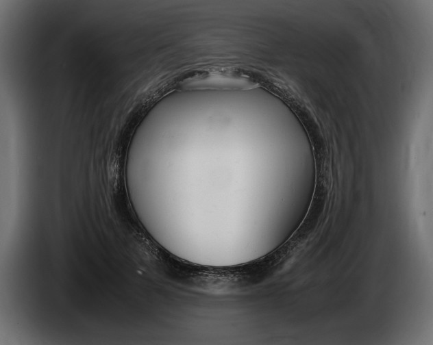 X0000083600697200703021913