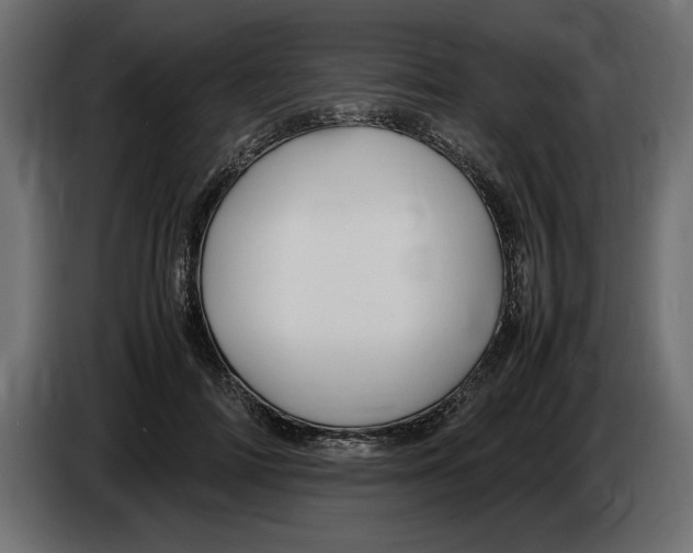 X0000083600698200703021913