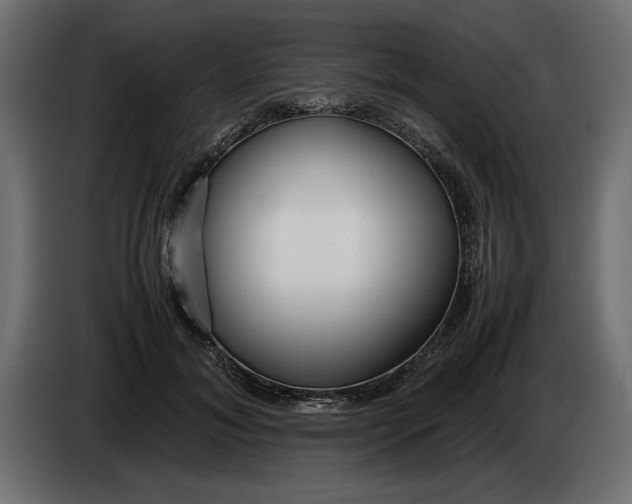 X0000083600700200703021913