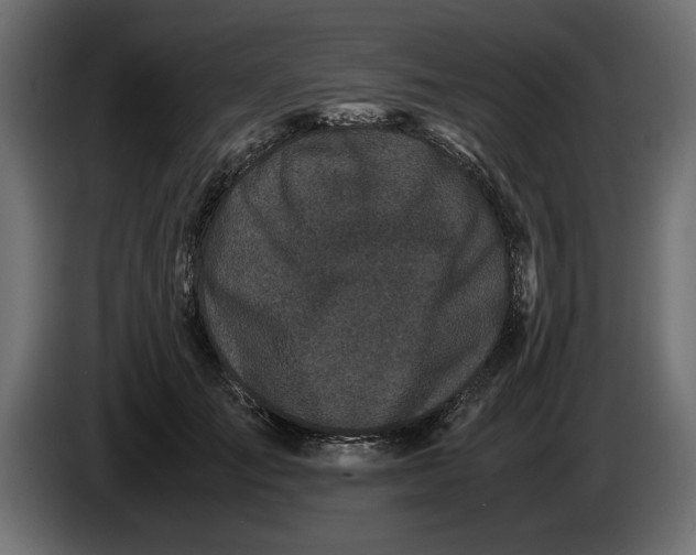 X0000083600701200703021913