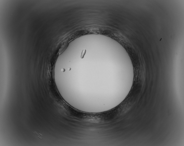 X0000083600702200703021913