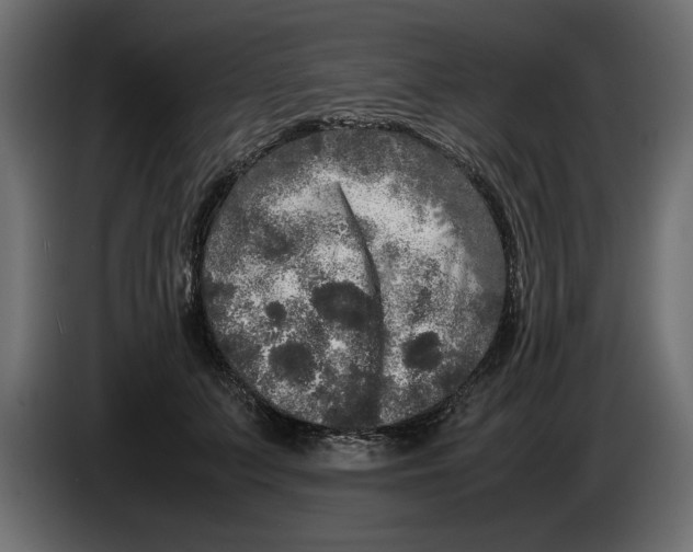 X0000083600703200703021913