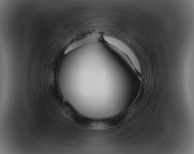 X0000083600704200703021913