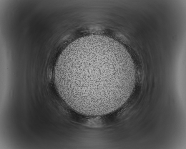 X0000083600705200703021913