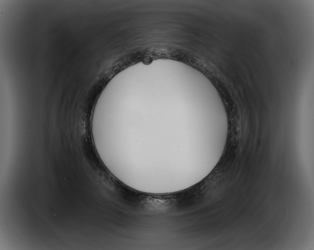 X0000083600706200703021913