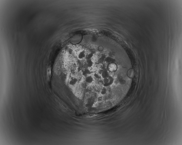 X0000083600707200703021913