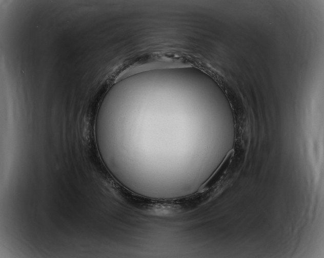 X0000083600708200703021913