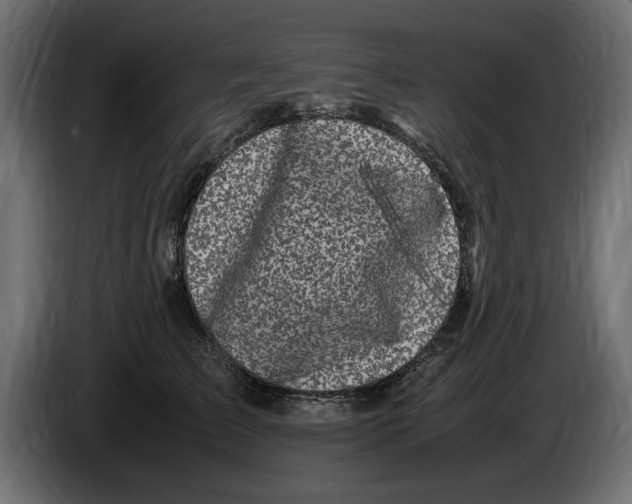 X0000083600709200703021913