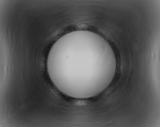 X0000083600710200703021913