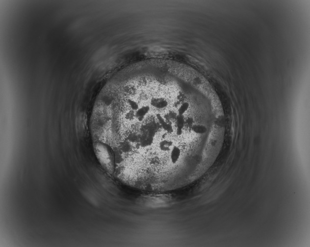 X0000083600711200703021913