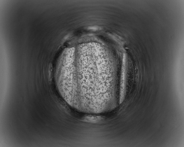 X0000083600712200703021913