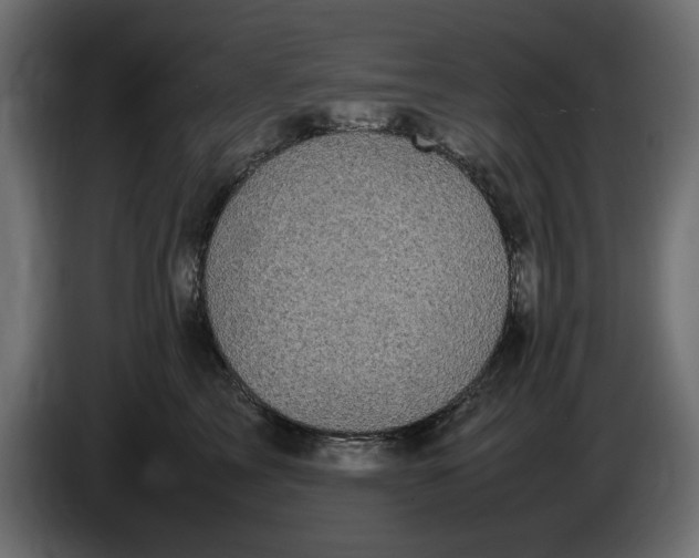 X0000083600713200703021913