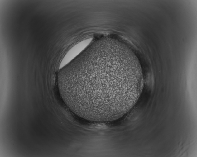 X0000083600715200703021913