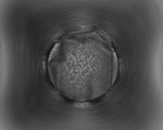 X0000083600716200703021913