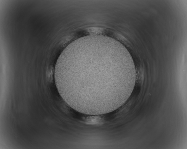 X0000083600717200703021913