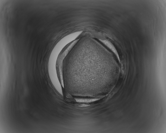 X0000083600718200703021913