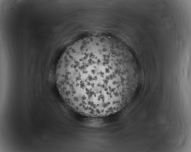 X0000083600719200703021913