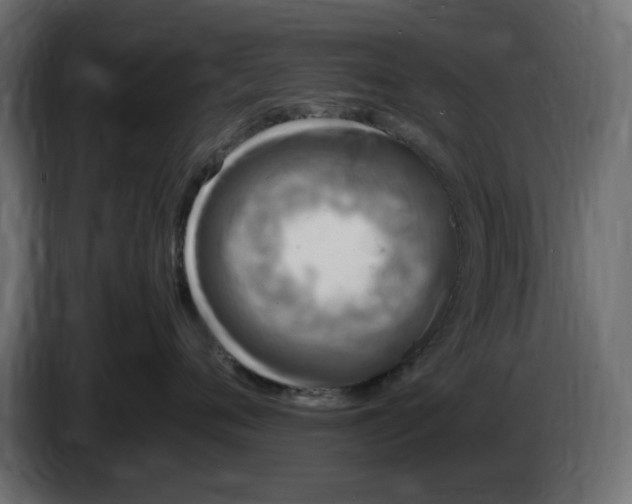 X0000083600720200703021913