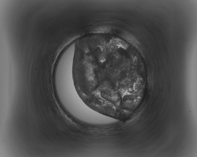 X0000083600721200703021912