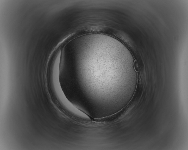 X0000083600722200703021912