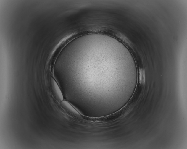 X0000083600723200703021912