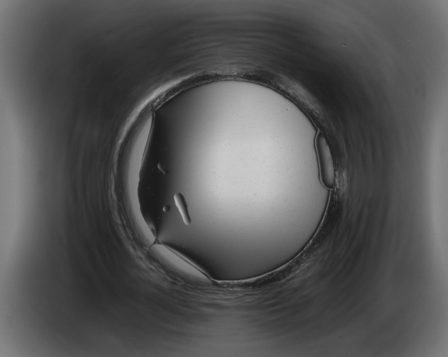 X0000083600724200703021912