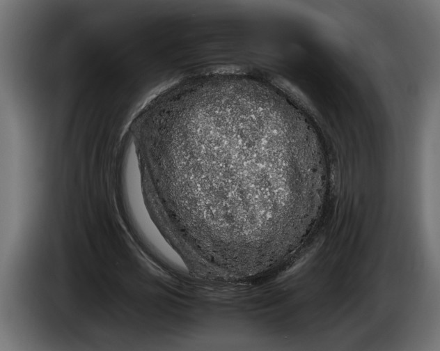 X0000083600725200703021912